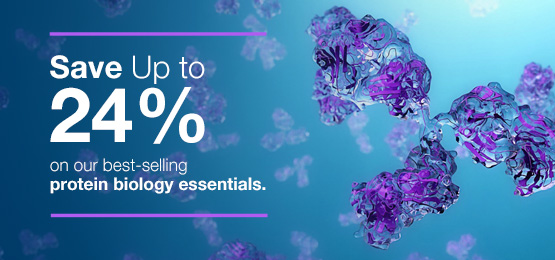 Protein Biology Essentials