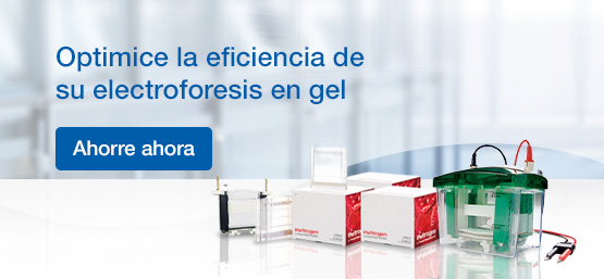 Invitrogen Electrophoresis Primary Core Set Savings