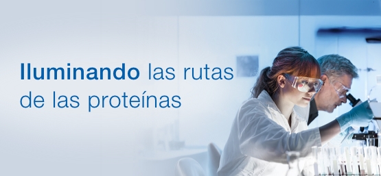 Protein Analysis