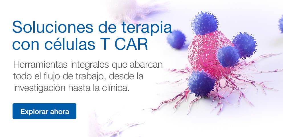 CAR T-Cell Therapy Solutions