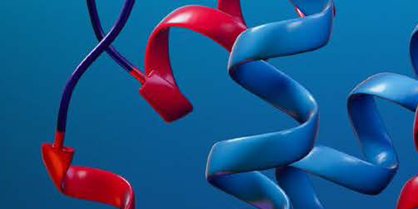 Desarrolle su potencial proteínico y celular