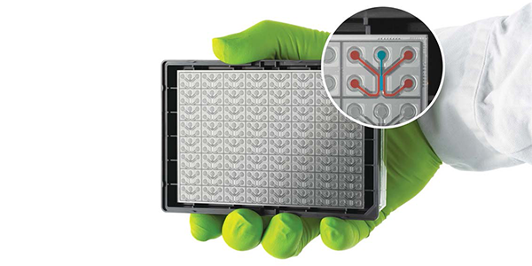 Tecnología de órganos en un chip