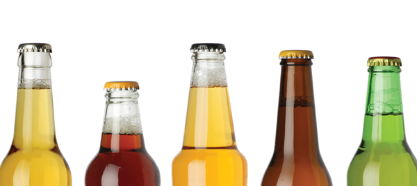 Software Thermo Scientific BeerCraft