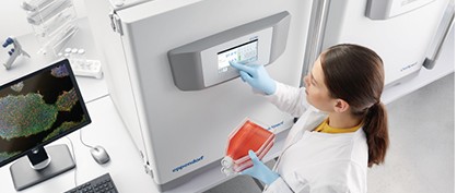 Cómo reducir los costes ocultos en el laboratorio de cultivo celular