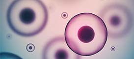 Life Science