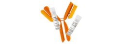 Primary Antibodies