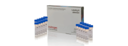 Cell Structure Reagents and Kits