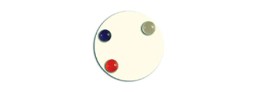 Cell Based Assays