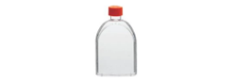 Cell Culture Flasks