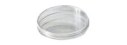 Petri Dishes