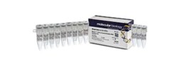 PCR Cloning Kits