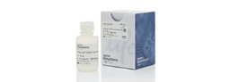 Real-Time PCR Master Mixes