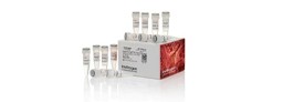 PCR Supplies