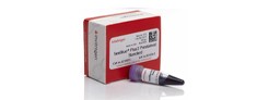 Protein-Molecular-Weight-Marker